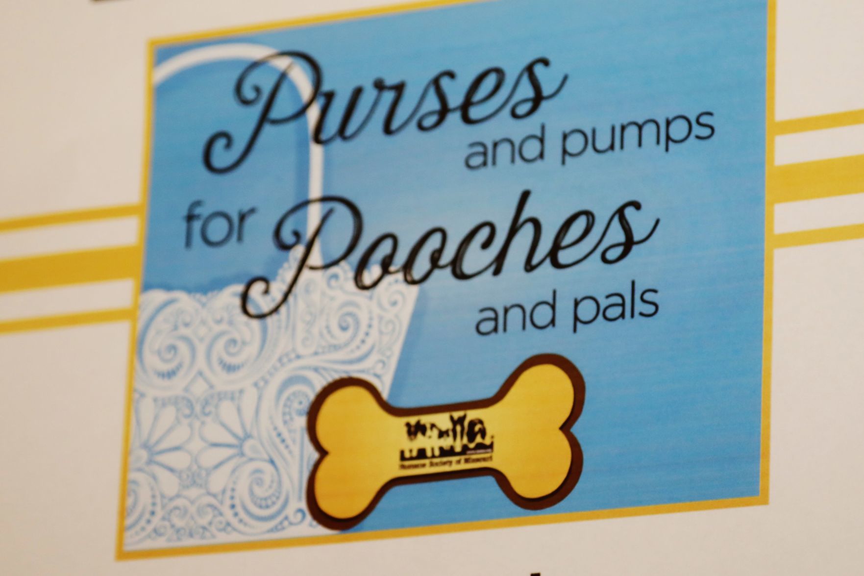 2019-Purses-and-Pumps-for-Pouches-and-36-.JPG
